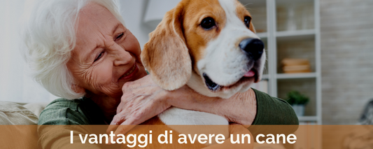 Un cagnolino può sconfiggere la solitudine dell'anziano