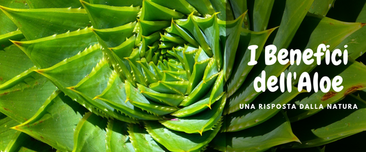 Cose che non sai sull'aloe