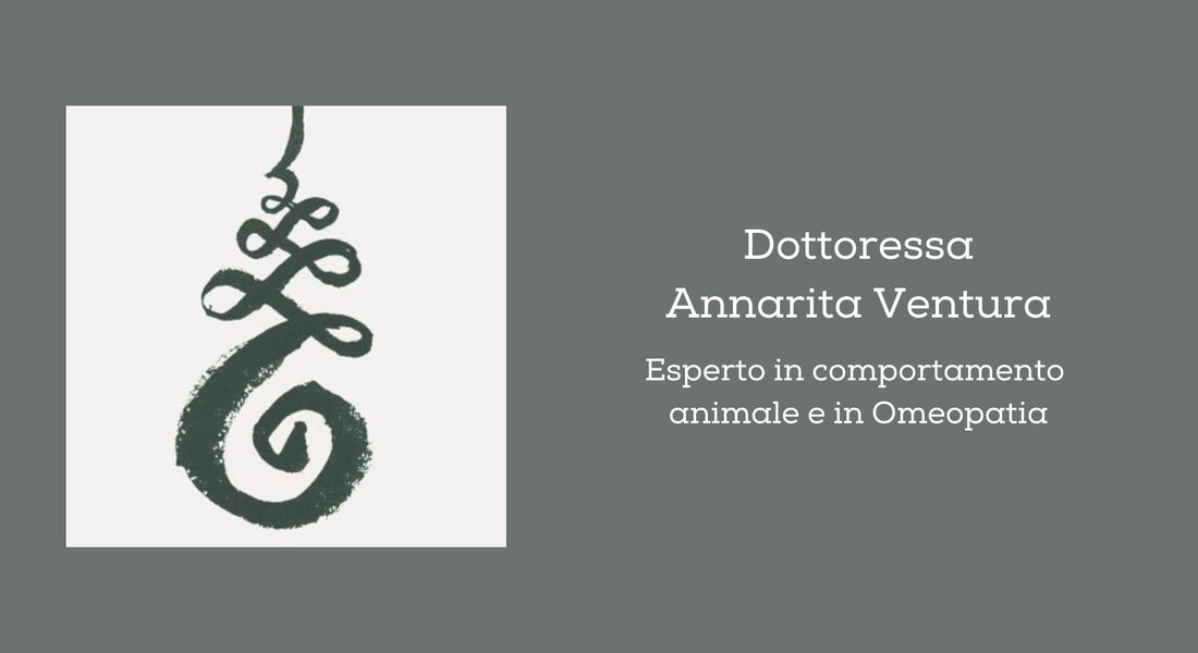 Dottoressa Annarita Ventura Medico veterinario