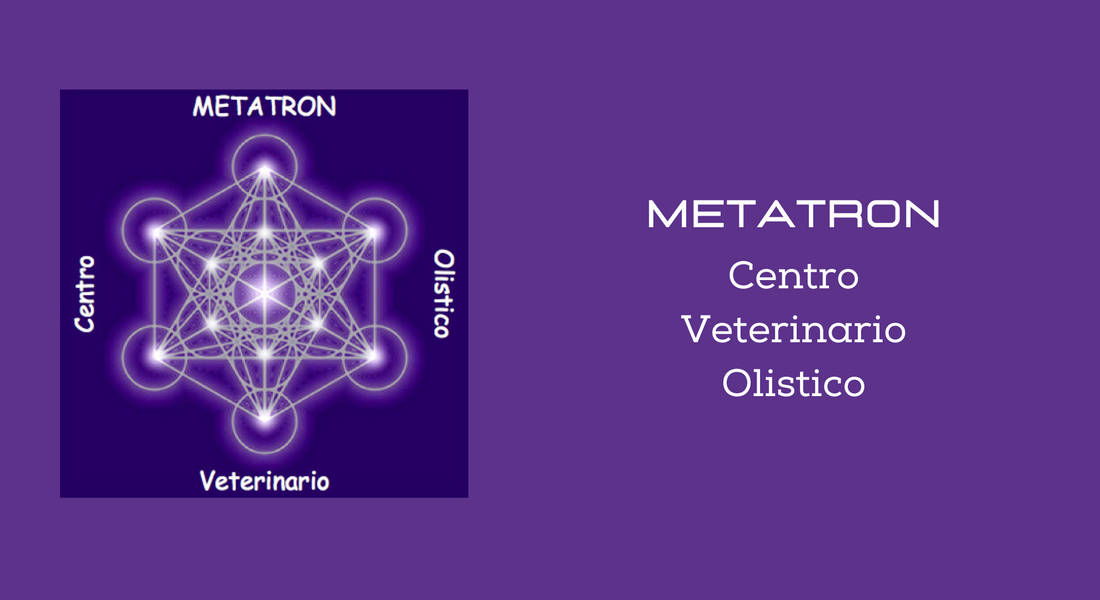 Metatron Centro Veterinario Olistico